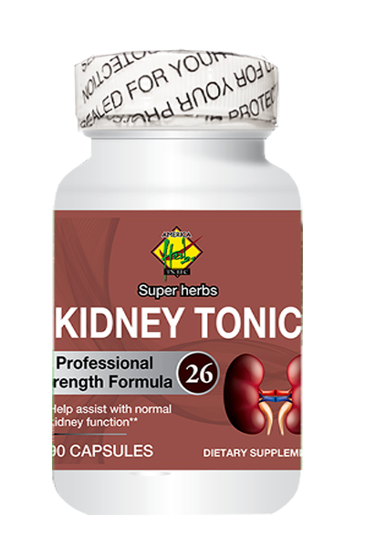 Bổ Thận - Kidney Tonic # 26 TN