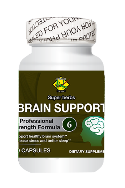 Bổ Óc Tăng Trí Nhớ - Brain Support # 6 TN