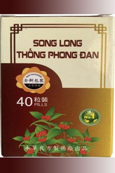 SONG LONG THỐNG PHONG ĐAN